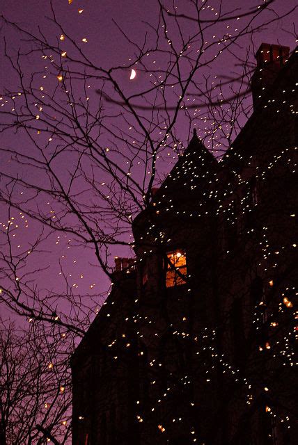 Halloween Tree Lights Pictures, Photos, and Images for Facebook, Tumblr, Pinterest, and Twitter