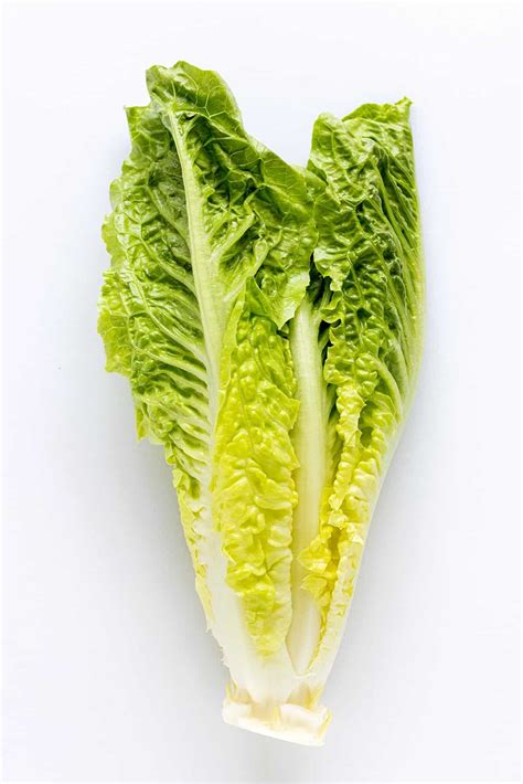 Romaine Lettuce Head