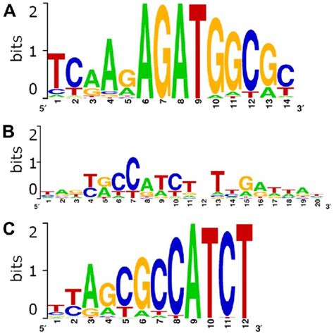 Logo Representations For The Top Motif Predictions A Top Motif