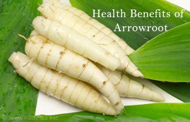 Health Benefits Of Arrowroot