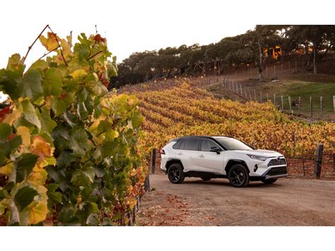 2019 Toyota RAV4 Hybrid: 95 Exterior Photos | U.S. News