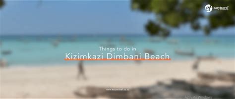 Kizimkazi Dimbani Beach Zanzibar Guide Map Faq And More