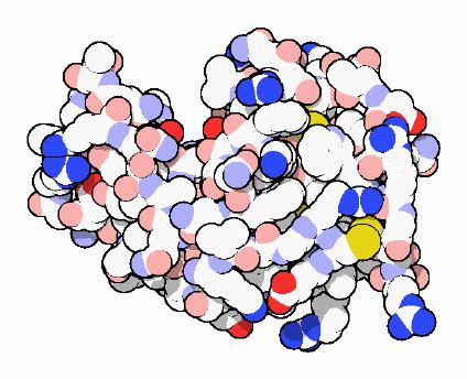 PDB 101 Molecule Of The Month Lysozyme