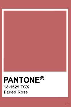 Pantoneee I In Fikir Renkler Pantone Renk Paletleri