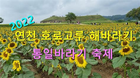 2022 연천 호로고루 해바라기 통일바라기 축제 Youtube