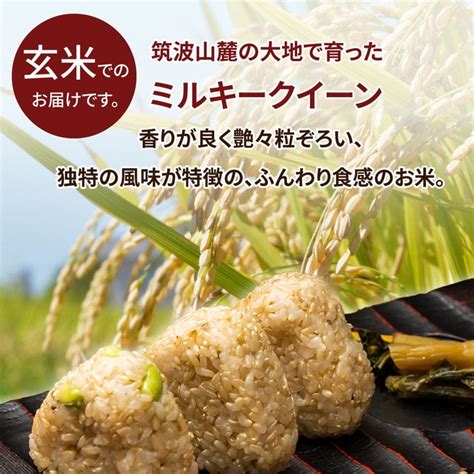 【先行予約】令和6年産 茨城県産 ミルキークイーン 玄米2kg｜このお米は石抜き機、色彩選別機の処理済みです ※離島への配送不可 ※2024年