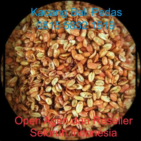 Produsen Kacang Bali Lestari