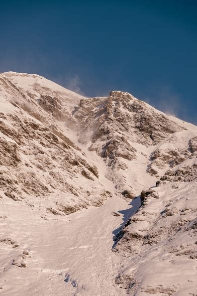 Cirque Du Lys