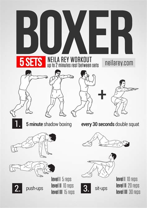 Boxer Workout Boxer Workout Boxing Training Workout Home Boxing Workout