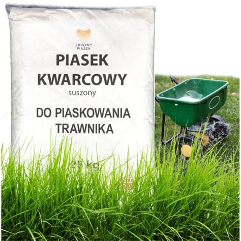 Piaskowanie Trawnika Trawy Piasek 0 1 0 5mm 25KG Piasek Do Piaskowania