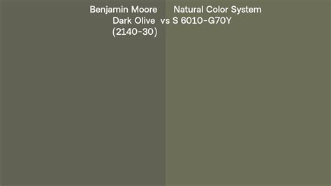 Benjamin Moore Dark Olive Vs Natural Color System S G Y