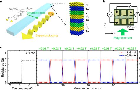 Demonstration Of The Magnetically Controllable Superconducting Diode A