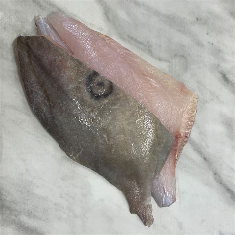 john dory fish recipes 7