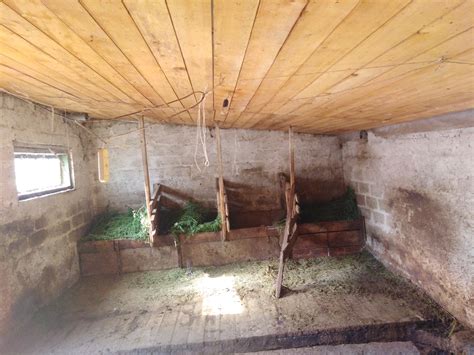 Сарай для коровы своими руками (61 фото) - фото - картинки и рисунки ...