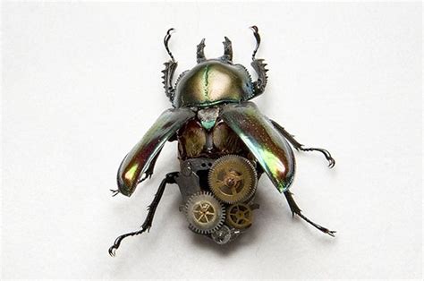 Robotic Steampunk Insects By Lindsey Bessanon Arte De Insectos Insectos Steampunk