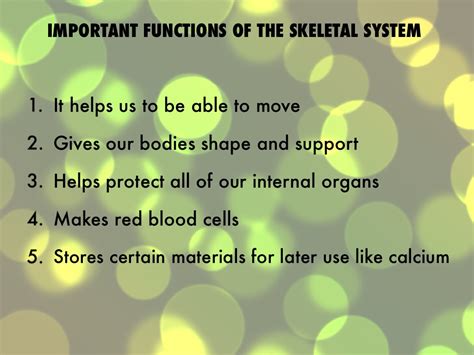 Skeletal System Facts Grade 5