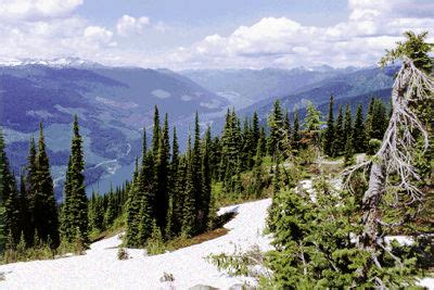 mount revelstoke national park  canadian encyclopedia