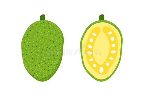 Half Jackfruit Icon Cartoon Vector Ripe Fruit Stock Vector