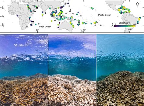 Global Tipping Points 1 3 2 7 Coastal Ecosystems