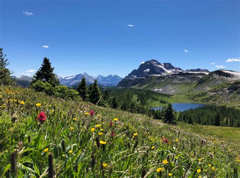 Everything included in your standard national park pass banff purchase 16