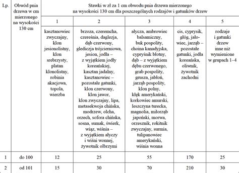 Wycinka drzew na działce opis procedury OnGeo pl Blog