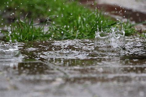 Rain Is Falling In A Puddle In The Garden Fitzgerald And Sons Plumbing