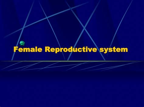 Ppt Female Reproductive System Powerpoint Presentation Free Download Id 9659951