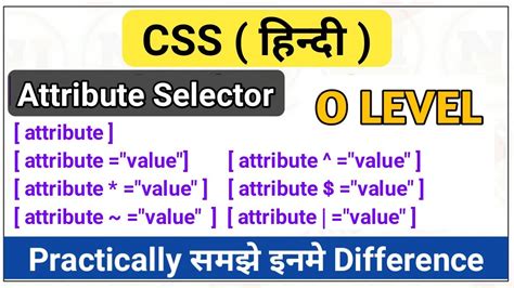 Attribute Selector In Css In Hindi Attribute All Types Selector In