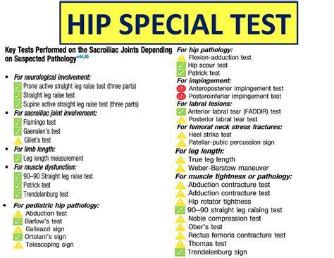 Physical therapy interventions: Hip Special Test - HIP SPECIAL TEST ...