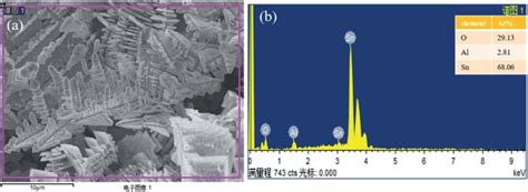 A Sem Images Of Tin Dendritic Nanostructures Prepared For Min B