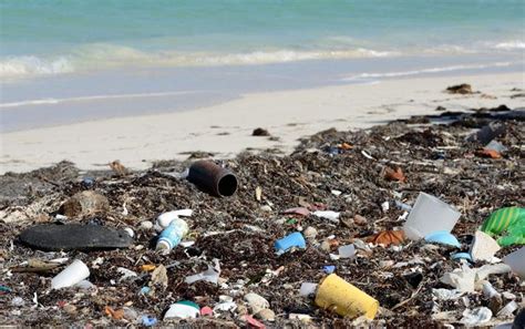 Impactante Video Muestra Las Playas Llenas De Basura En Santo Domingo