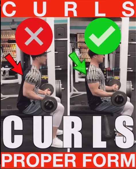 How To Seated Bicep Curls Videos And Guides