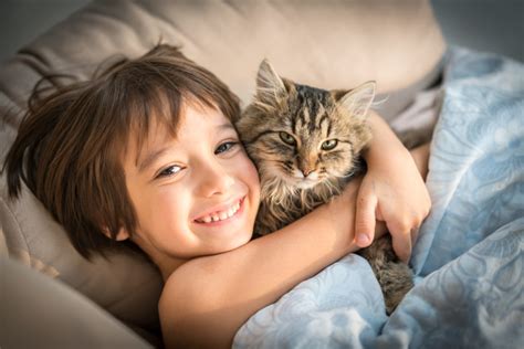 Quelle Race De Chat Quand On A Des Enfants Minimall