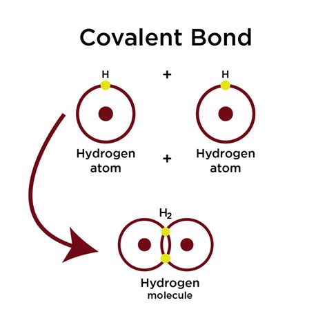 description   polar covalent bond