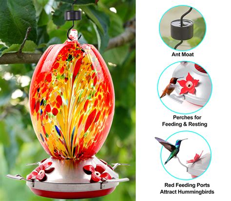 Libiyi Hummingbird Feeders Lulunami