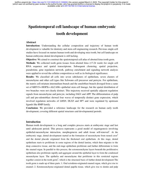 Pdf Spatiotemporal Cell Landscape Of Human Embryonic Tooth Development