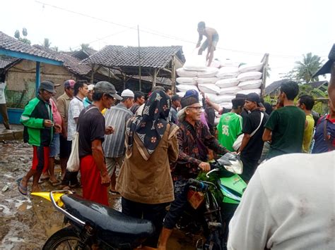 Petani Di Pandeglang Keluhkan Kelangkaan Pupuk Jenis Urea Bersubsidi