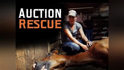 Watch Horse Rescue Heroes Prime Video