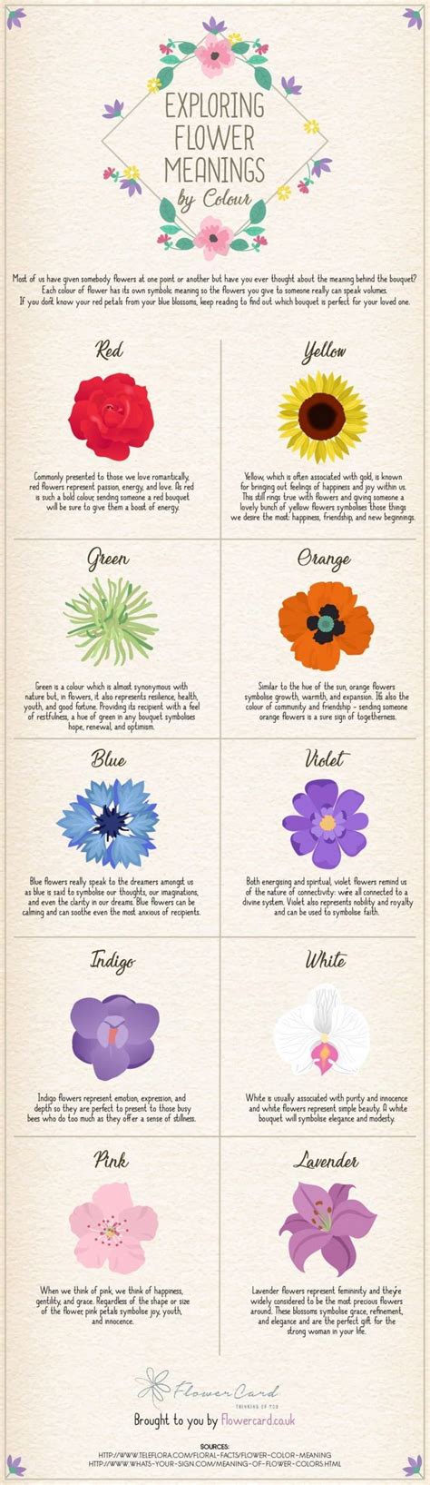 Exploring Flower Meanings By Colour [Infographic ... - flower meanings ...