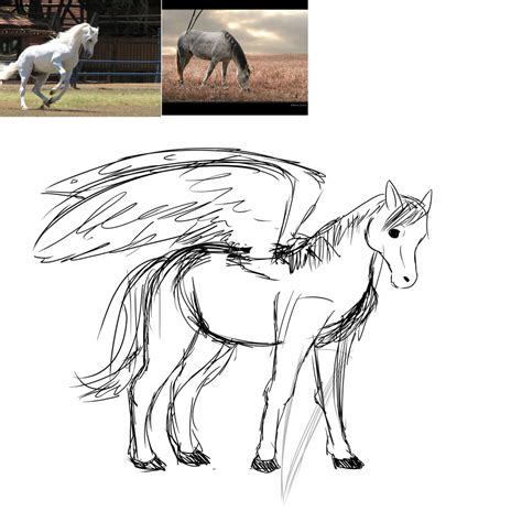 Horsepegasus Anatomy Practice 1 By Growlithe9341 On Deviantart