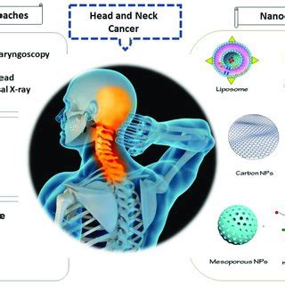 Clinical features (A) and dermoscopy (B) of a melanoma of the nose... | Download Scientific Diagram