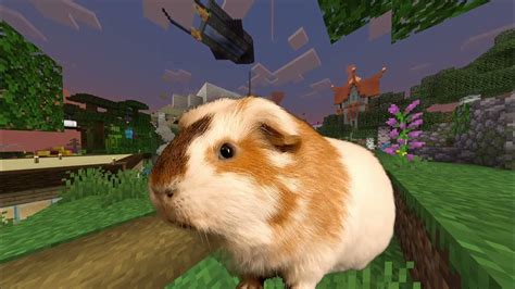 Guinea Pig In Minecraft Youtube