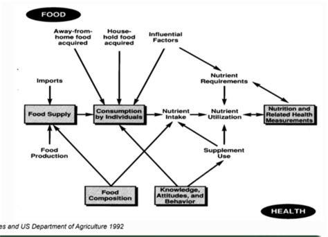 1 Overview Of Nutritional Assessment Flashcards Quizlet