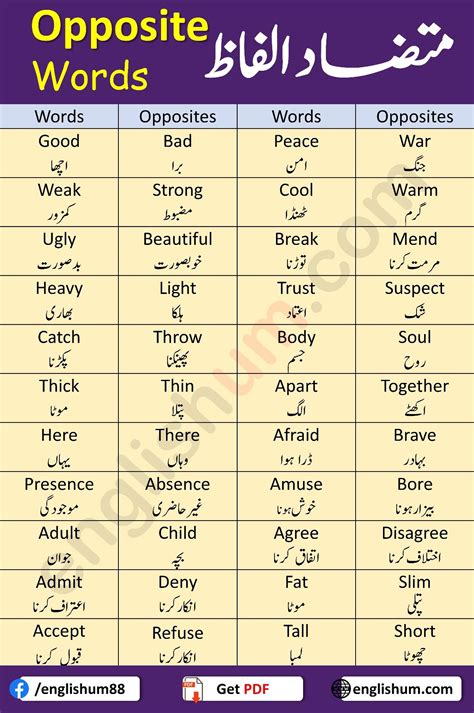 Opposite Words In English And Arabic With Pictures On Them Including