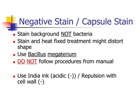 PPT - Negative Stain / Capsule Stain PowerPoint Presentation, free ...