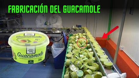 CÓMO es la FABRICACIÓN del GUACAMOLE INDUSTRIAL YouTube