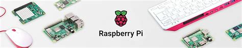 Amazon.com: Raspberry Pi: Computers