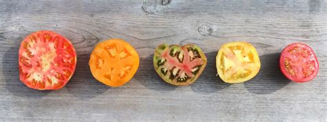 Heirloom Tomatoes: All About Them – Vermont Organic Farm | Cedar Circle ...