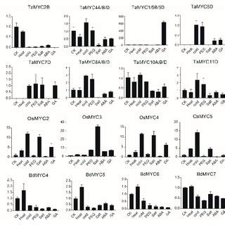 Expression Patterns Of Tamyc Osmyc And Bdmyc Genes Under Abiotic