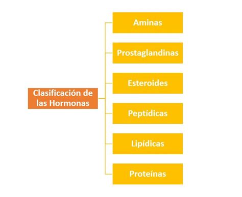 que son los esteroides naturales es esencial para su éxito Lea esto